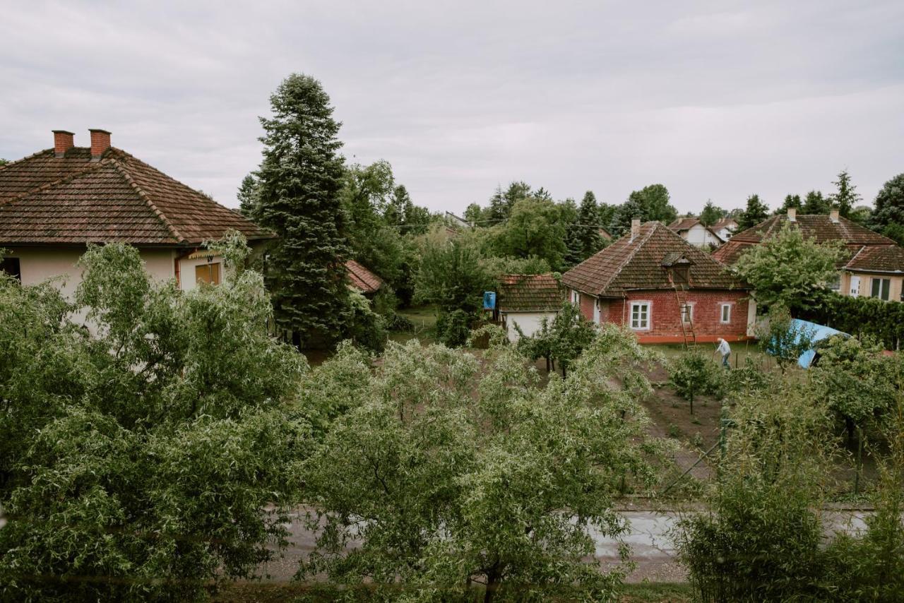 Apartman Buba Palić Eksteriør bilde